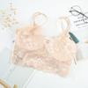 Lace Bra Wrapped Chest Beauty Back Underwear Women Fashion Belt Chest Padded Camisole