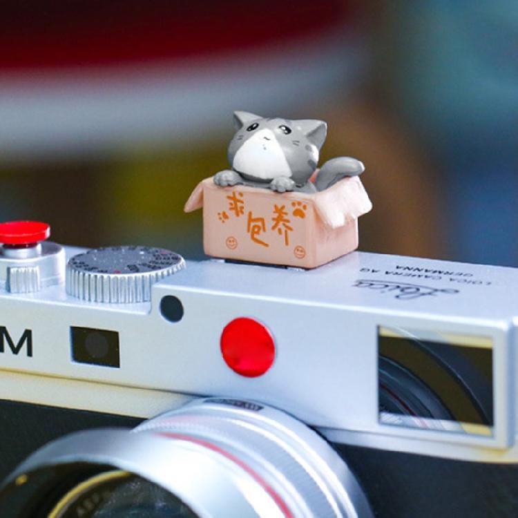 3D kreslený kryt sáněk fotoaparátu Roztomilý pro kočku DSLR Prachotěsný kryt sáněk pro DS