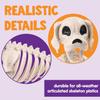 Joyfy 9.8 Inch Halloween Skeleton Dog Skeleton Halloween Decor Pose-N-Stay for Hallowmas Decoration Outdoor Haunted House Party