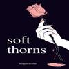 Soft Thorns by Bridgett Devoue Paperback Book 9781449496883