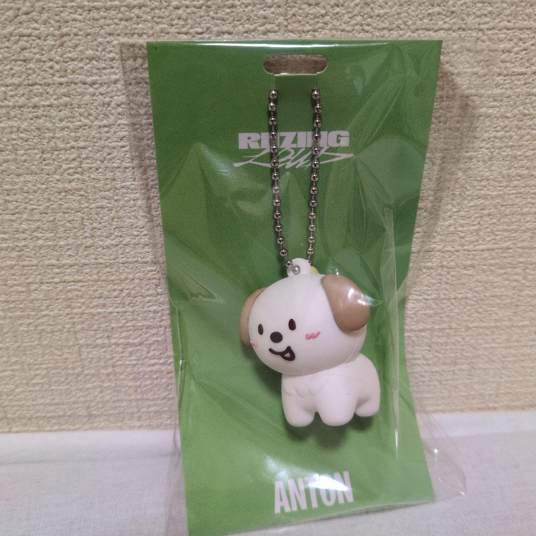 

[USED] RIIZE Anton Keychain