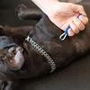 FinoPet Tick Remover for Dogs and Cats, Professional Tick Removal Tool, Tick Twister for Humans and Pets