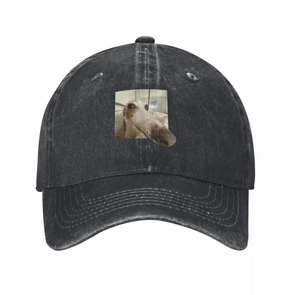 Funny Dog Baseball Cap hats on offer New In Hat Winter hat designer cap For Women Unisexs