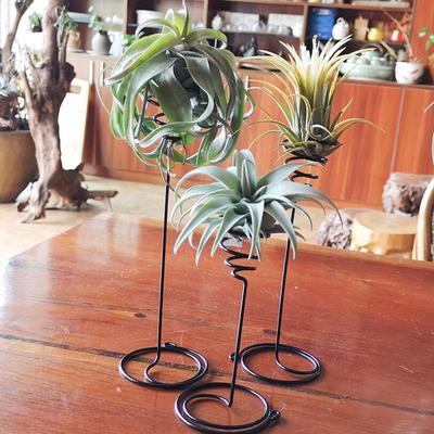 3Pcs Metall Air Ananas Stand Basis Pflanze Blume Rack Halter Hause Balkon Dekor