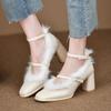 High-heeled Mao Mao Shoes Outer Wear Female Winter Fairy Retro Mary Jane Shoes 2025 New Autumn and Winter French Thick-heeled Shoes