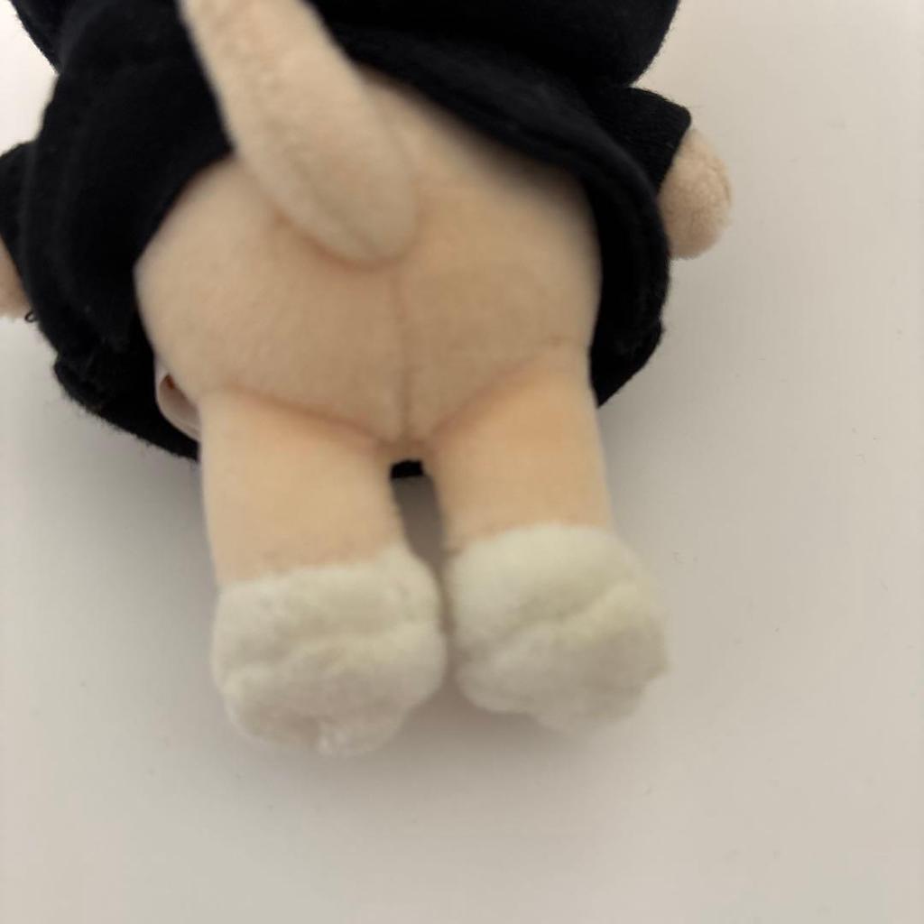 [USED] Stray Kids THE VICTORY SKZOO Foxxyny