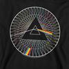Pink Floyd Childrens/Kids Spokes Hoodie