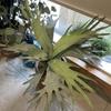1PC Fake Plants Vertical Wall Accents Artificial Greenery For Floral Arrangements Simulated Deer Antlers & Euphorbia Modern