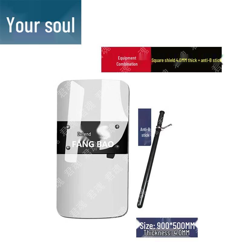 Handheld Riot Shield & Security Kit