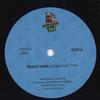 7inch Record SHANTI YALAH - Judgement Time  Judgement Dub RDR0704 Reservoir Dub E 2022 Europe Reggae Ska  Dub