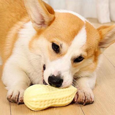 Quietschendes Erdnuss-Hundespielzeug Sicheres Hundekauspielzeug Welpen-Zahneinwachsspielzeug Zahnreinigungsspielzeug für Große