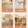 Bouncing Toy Cats and Felines Fun Exercise and Entertainment Cats Toy