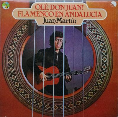 LP Record JUAN MARTIN - Ole, Don Juan! Flamenco En Andaluci NTS126 EMI Records Ltd 1977 UK Latin Used
