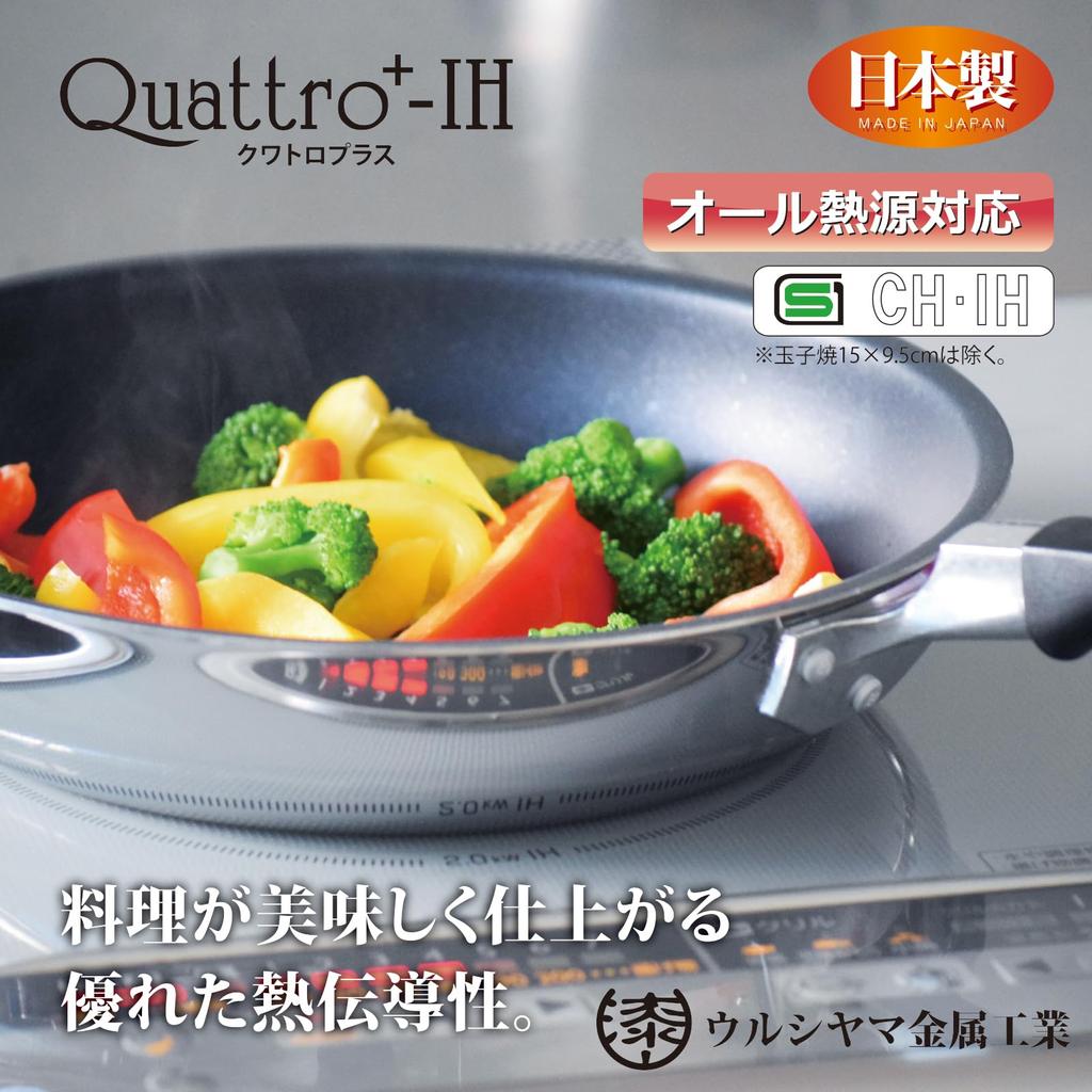Urushiyama Metal Industry Deep Frying Pan 24cm IH Compatible Made In Japan Quattro Plus QTP-D24