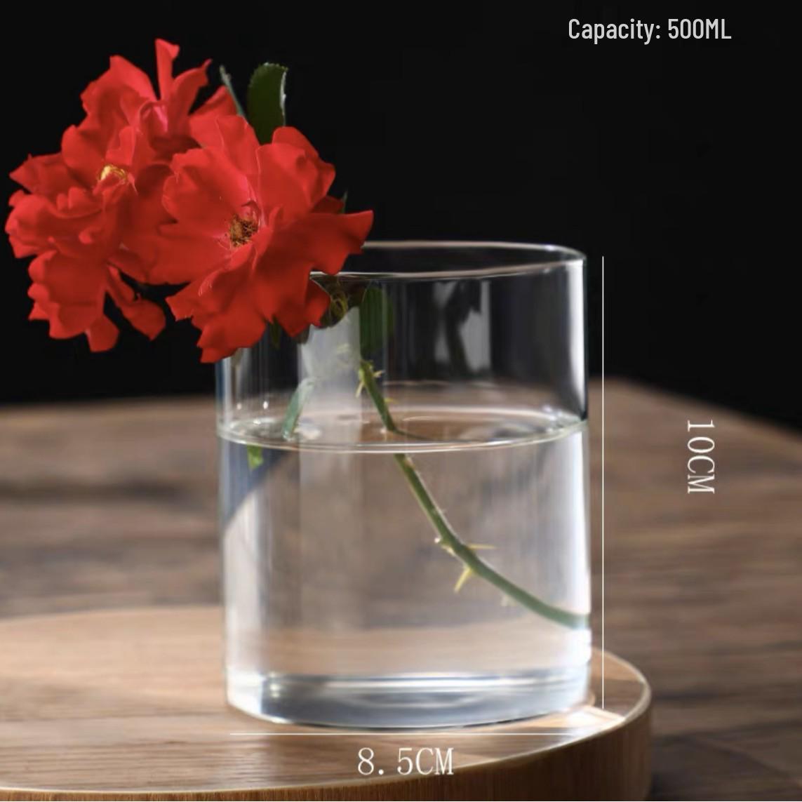 Elegant Ins Style Glass Vase for Mini Landscapes and Bamboo