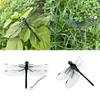 Outdoor Mosquito Repellent Simulation Big Dragonfly Insertion Rod Dragonfly Mosquito Repellent God Model Toy Wing Length 14cm