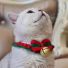 Festive Santa Claus Wool Knitted Pet Collar with Bells and Reindeer Scarf for Cats and Dogs