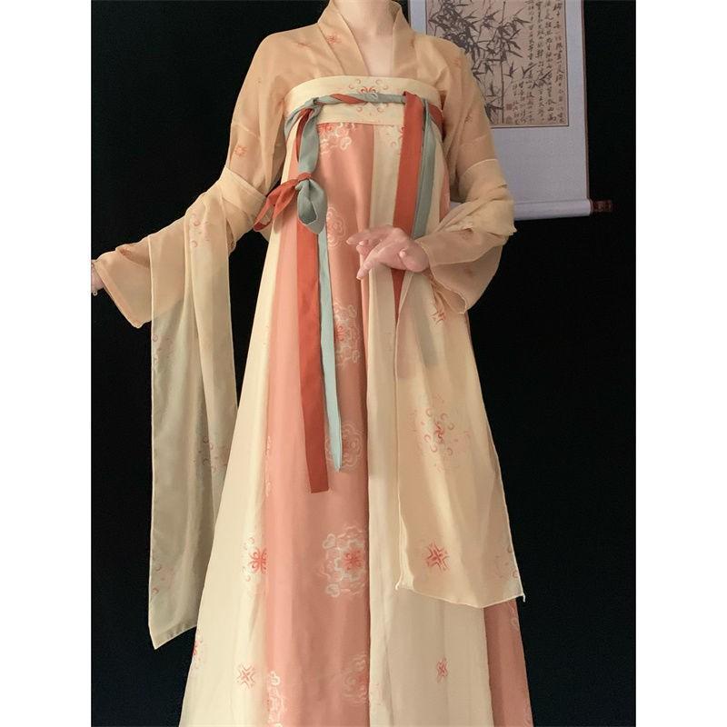 Womens Tang Dynasty Style Hanfu Dress With 3D Printed Wrap Skirt Chiffon Outfit