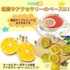 Rimikuru Food Sample Lemon Slices Set for Fruit Display (Lemon, 12-Piece Set)