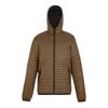 Regatta Mens Rigain Padded Jacket