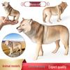 Large Solid Tibetan Gray Wolf Model - Children's Cognitive Toy Ornament