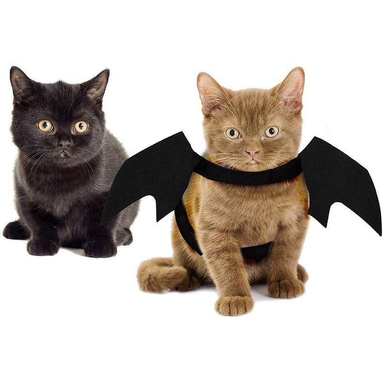 cat wings costume