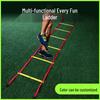 Sports Agility Training Ladder
