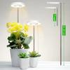 Ring Lamp Succulent Grow Lamp Retractable Growing Phytolamp  Indoor Plants