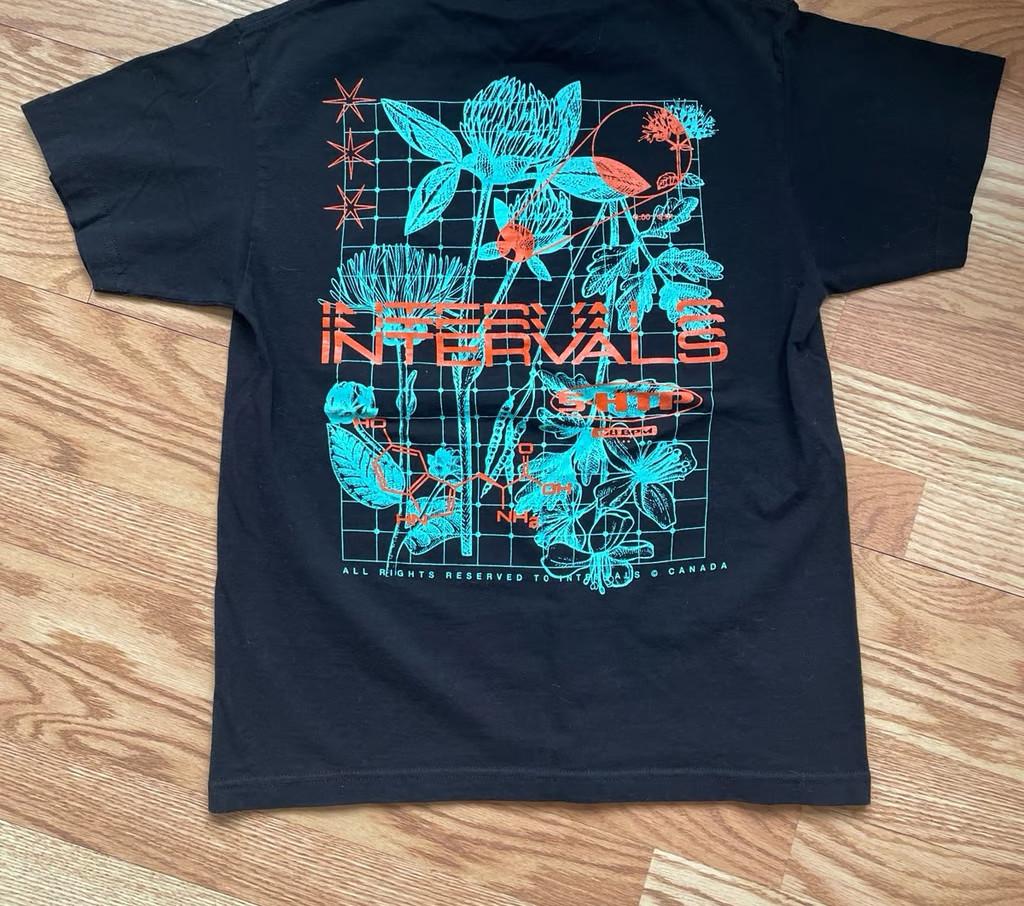 Винтажная футболка Intervals Band 5-HTP Унисекс Концертная до 5XL XL