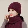 Autumn and Winter Knitted Wool Hat Fleece Thickened Hat Women's Winter Warm Faux Rabbit Fur Beret Headhat
