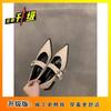 British style retro pointed Mary Jane small leather shoes women's 2025 spring and autumn new Korean version thick heel shoes loafer single shoes