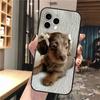 Phone Case Carcasa Funda For iPhone 17 Pro Max 17 Air 16 15 14 13 Pro Max 15 16 Pro 15Plus Dachshund Dog