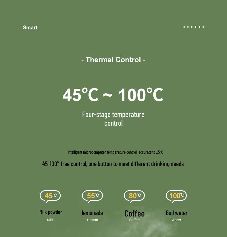 110V Portable Japanese Kettle with Adjustable Temperature for Office and Travel