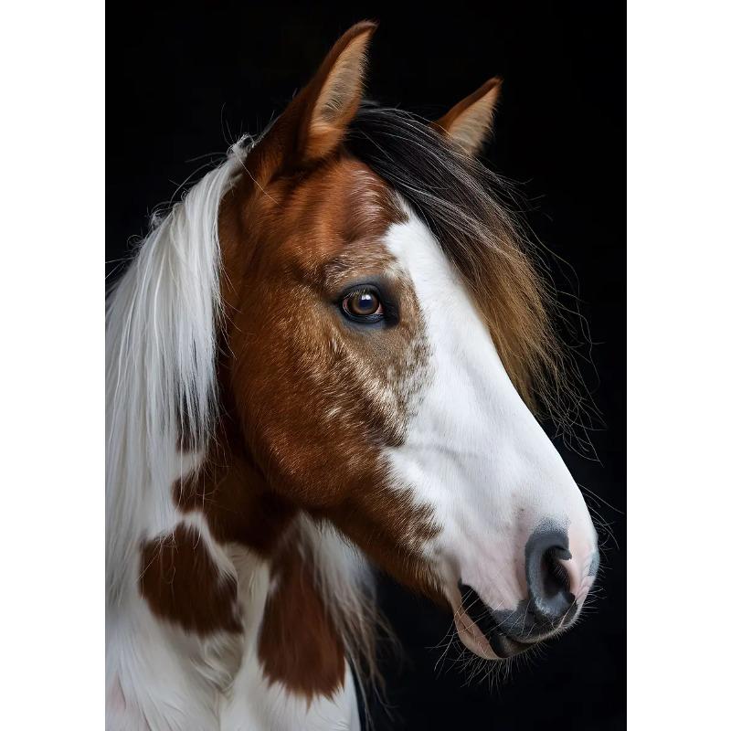 Handsome Horse Wild Animal Poster Horses Portrait Photography Canvas Painting Modern Wall Art for Living Room Home Decor Mural