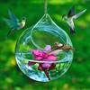 Humming Glass Feeder Outdoors Bird Feeder Hummingbird For Garden Fashion Manually Blowing Glass Hummingbird Feeder Fast