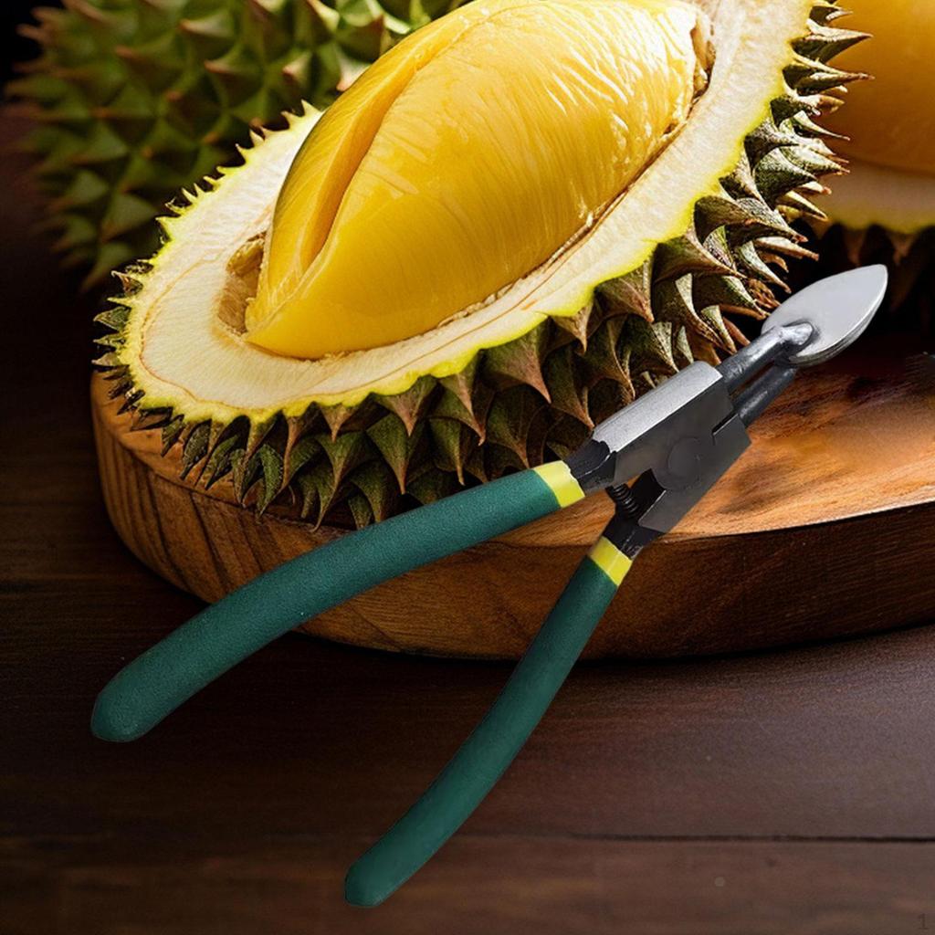 Durian Opener Tool Clip for Fruit Preparation in Kitchen And Outdoor