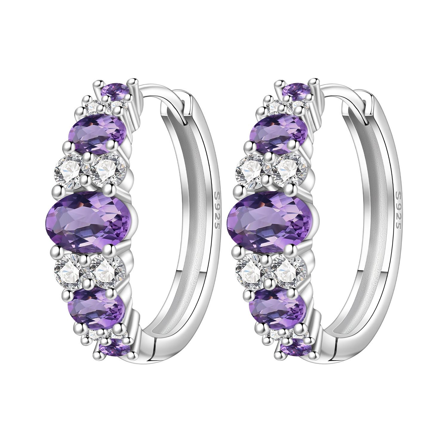 S925 Silver Blue Purple Zircon Earrings Hoop Earrings Women Jewelry Trendy Anniversary Gifts