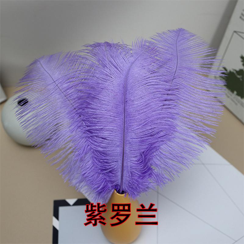 10 STÜCKE 20-25Cm Straußenfeder Bühnenauftritt Feder Handgefertigt DIY Schmuck Dekomaterial Straußenhaar