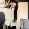 Vintage Korean Style Stand Collar Sweater Jacket Autumn/Winter Age-Reducing Zipper Embroidery Knitted Cardigan University Top