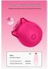 Rose Multi-Frequency Vibration Breast Enhancement and Teasing Device