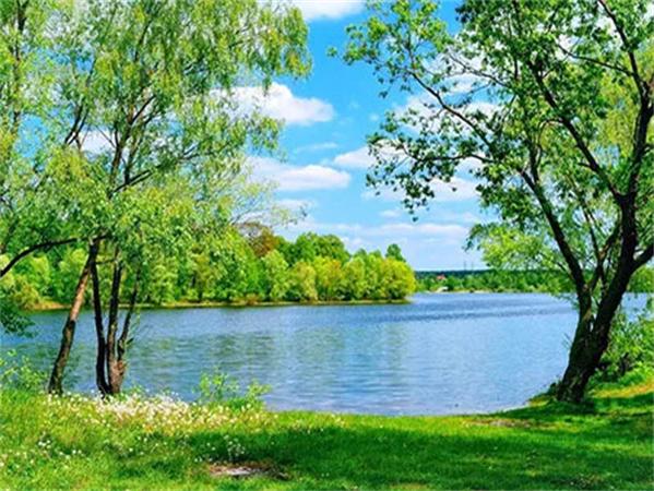 5D Diy Ζωγραφική με Διαμάντια Δέντρο Ποτάμι Πλήρες Τετράγωνο Στρογγυλό Κέντημα Ψηφιδωτό Φυσικό Τοπίο Διακόσμηση Σπιτιού