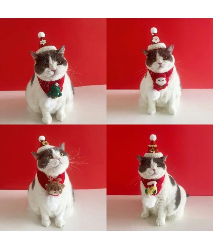 Reusable Christmas Cat Hat Cute Cartoon Autumn Winter Xmas Cat Custom Red Decorative Pets Dress Up Supplies for Dogs