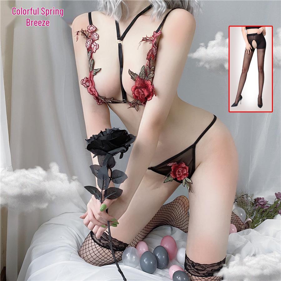 Spring Rose Embroidered Lingerie Set: Sexy Transparent Bra & Panty