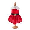 Pet Christmas Dress for Small Medium Dogs Cats Cozy Cute Puppy Santa Claus Outfits Chihuahua Yorkshire Princess Skirt Costume
