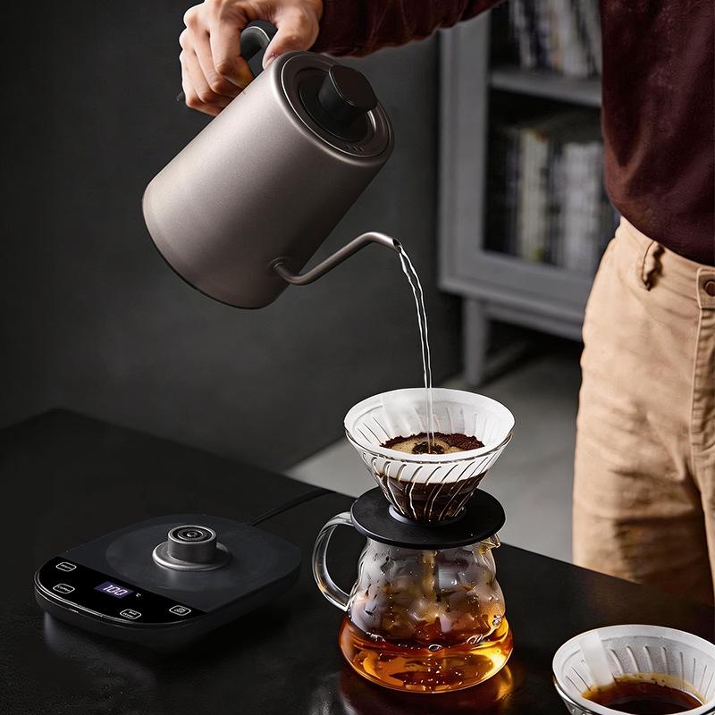European Gooseneck Electric Kettle - 304 Stainless Steel Pour-over Coffee Pot with Long Spout