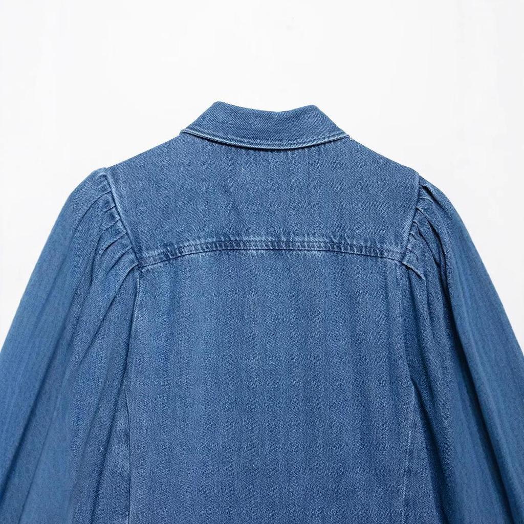 2025 Early Spring Women’s Fashion: Short-Sleeve Denim Shirt & Straight-Leg Pants Set – Euro-American Style