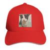 Soggy Wet Cat Meme Baseball Cap Ball Cap Fun Hats F Military Tactical Cap Trucker Hats For Unisex Womens