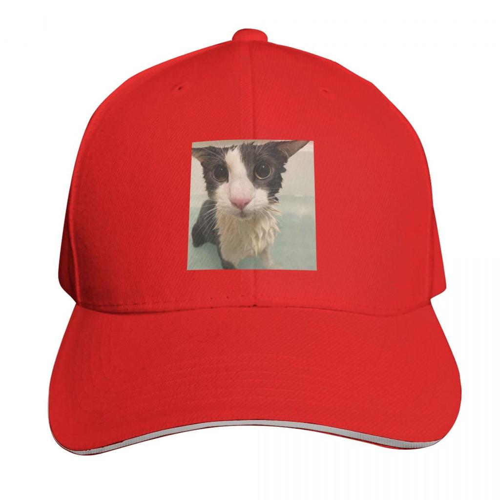 Soggy Wet Cat Meme Baseball Cap Ball Cap Fun Hats F Military Tactical Cap Trucker Hats For Unisex Womens