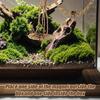 Handmade Jumping Spider Enclosure Hangable Hermit Crab Climbing Enclosure  Pet Supplies