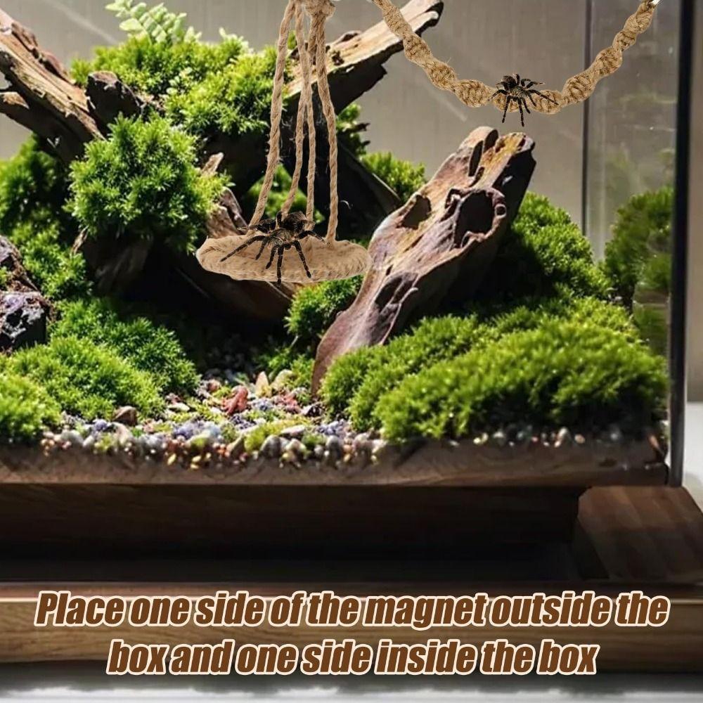 Handmade Jumping Spider Enclosure Hangable Hermit Crab Climbing Enclosure Pet Supplies